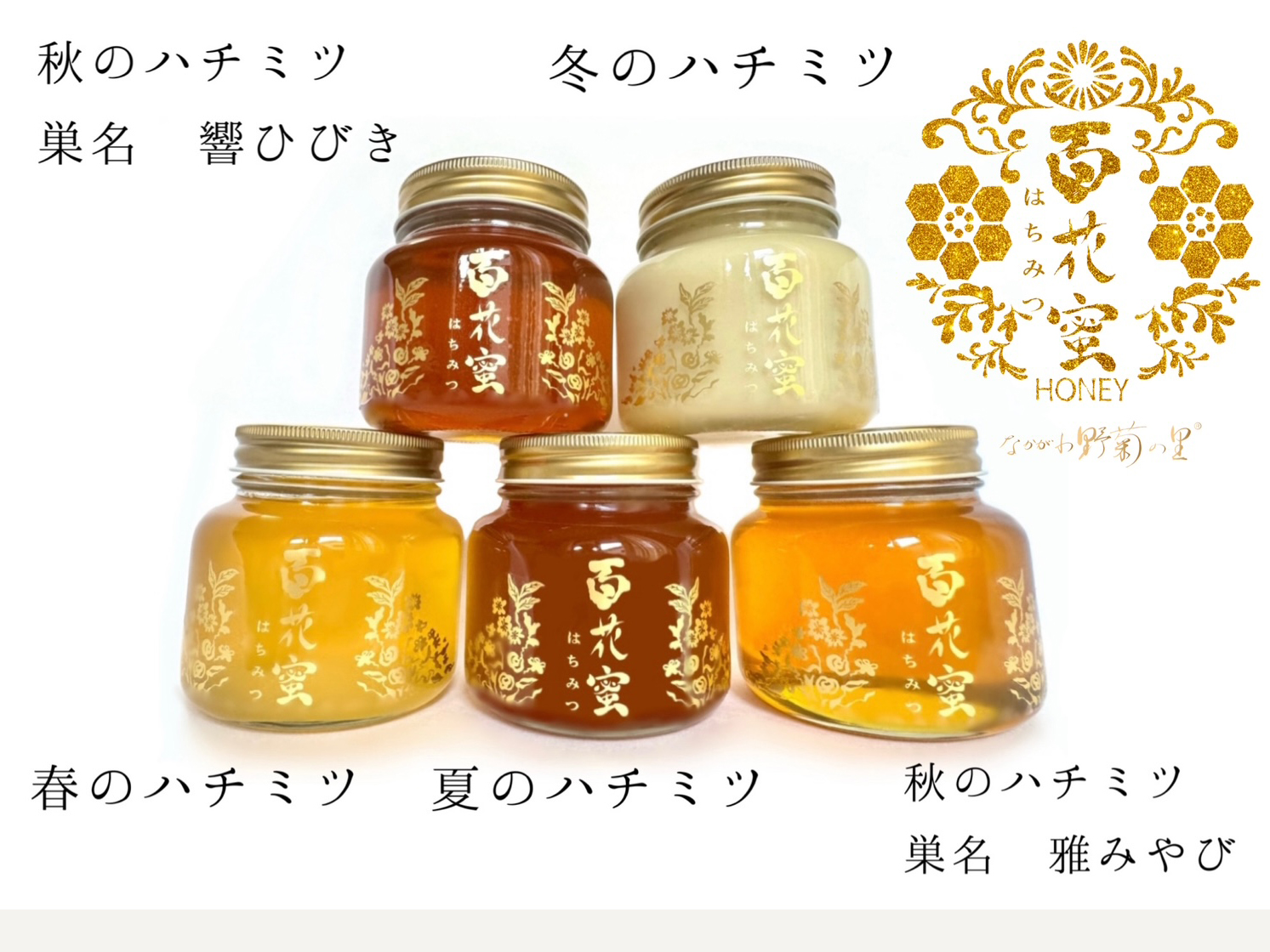 純粋ハチミツ5種